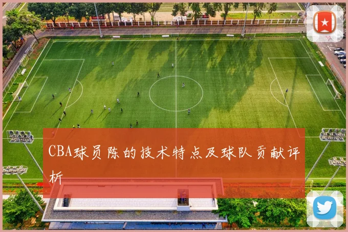 CBA球员陈的技术特点及球队贡献评析