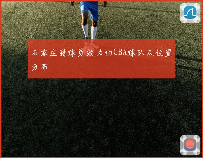 石家庄籍球员效力的CBA球队及位置分布