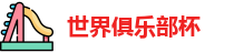 2025世界俱乐部杯